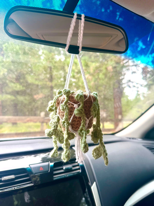 Crocheted hanging car plant
