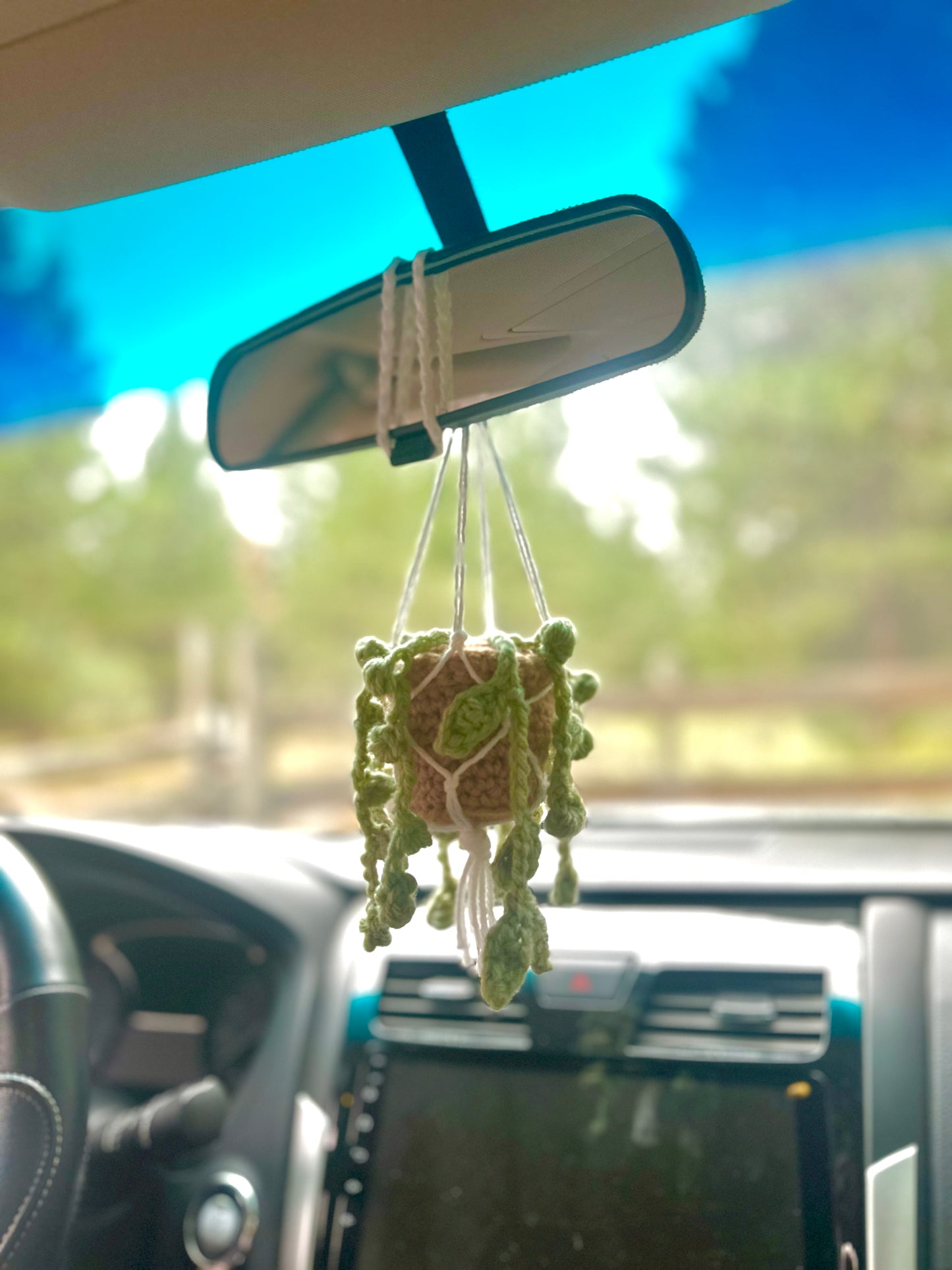 Crocheted hanging car plant