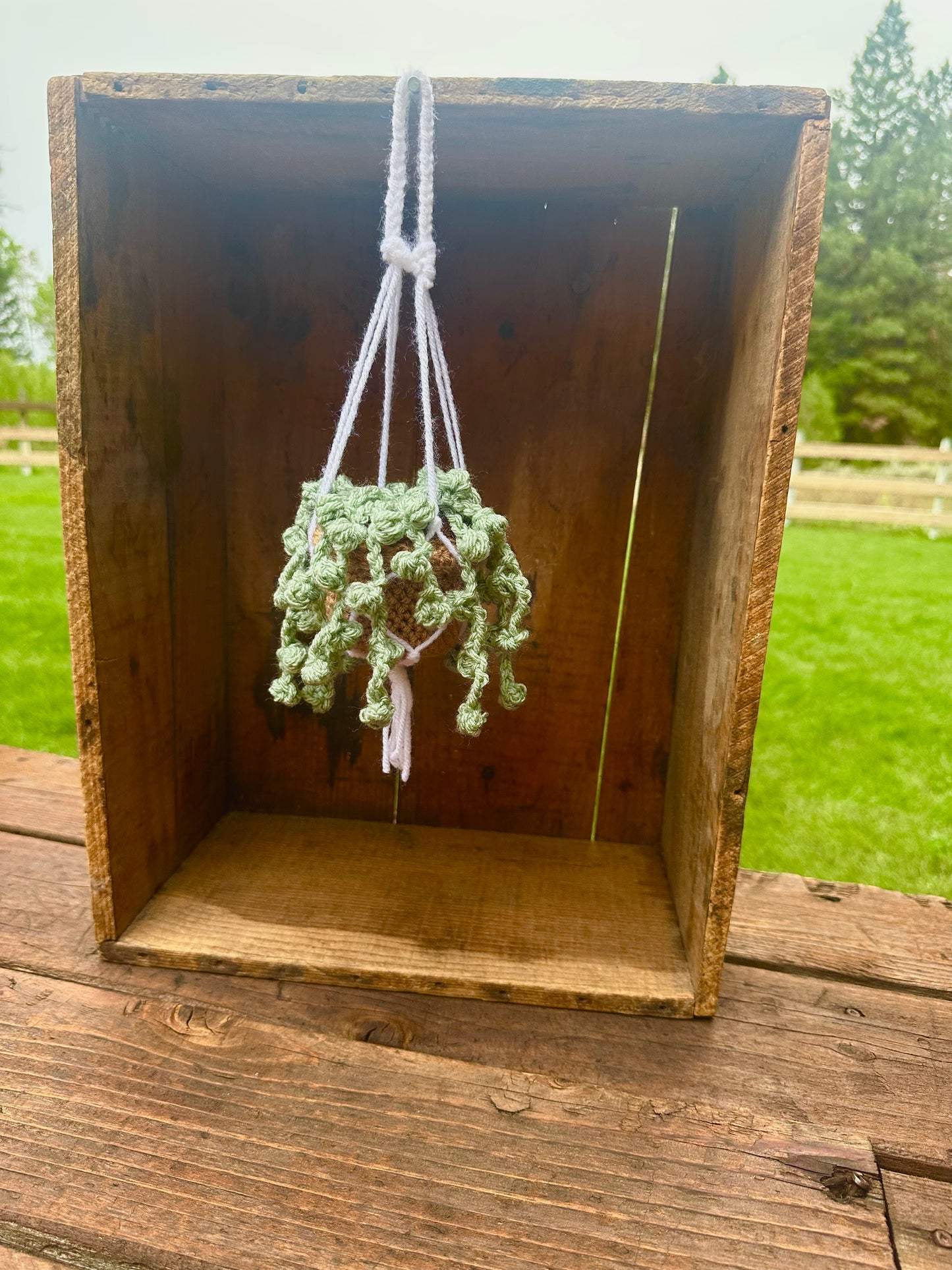 Crocheted hanging car plant