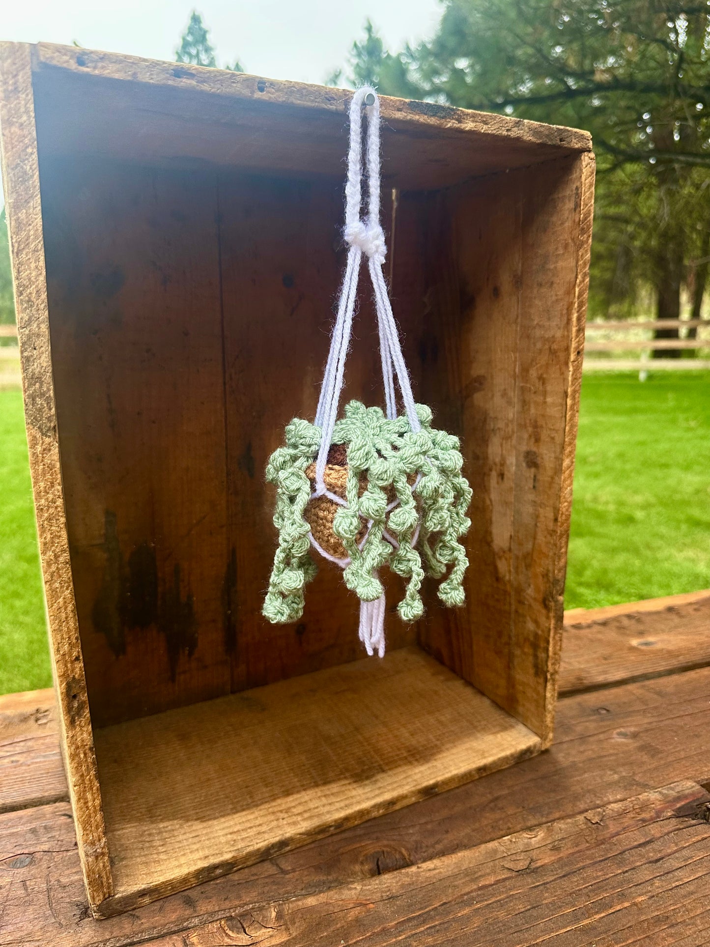 Crocheted hanging car plant