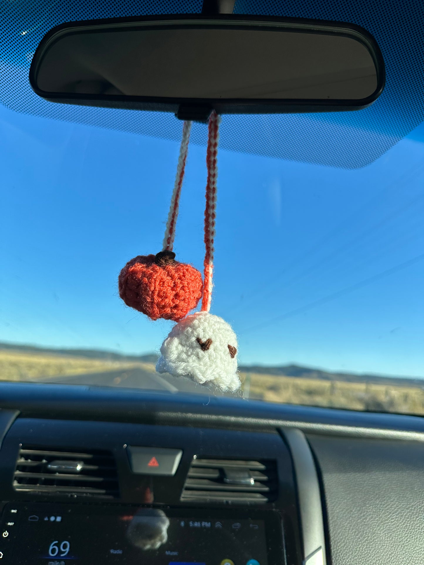 Halloween Car Accessory